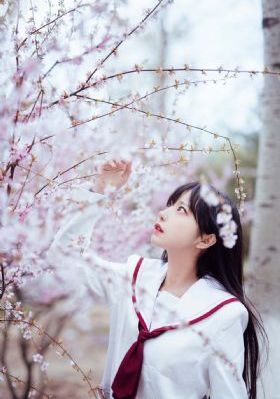 免费观看91视频_高清完整视频观看